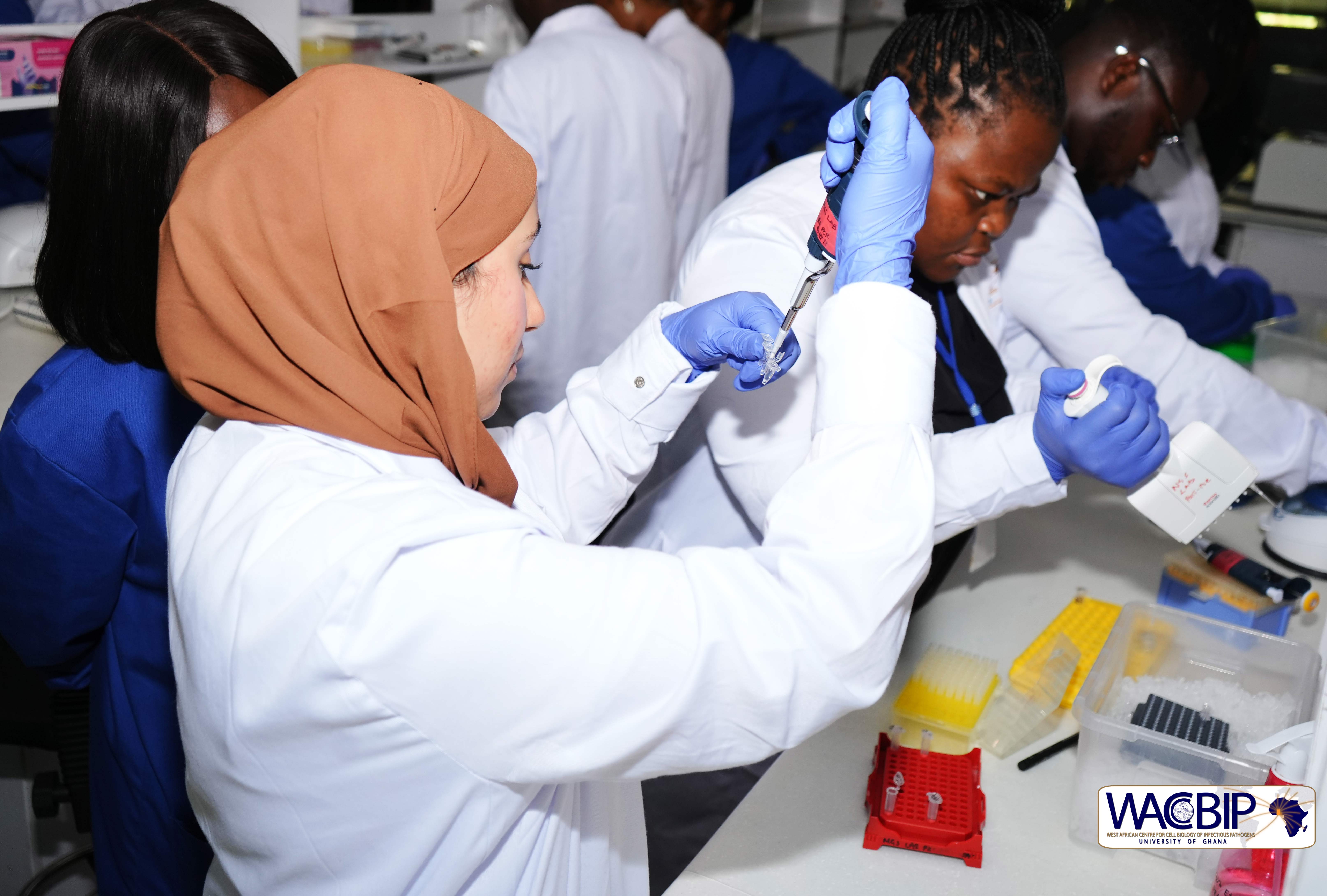 WACCBIP Empowers Scientists to Lead Africa’s Fight Against AMR